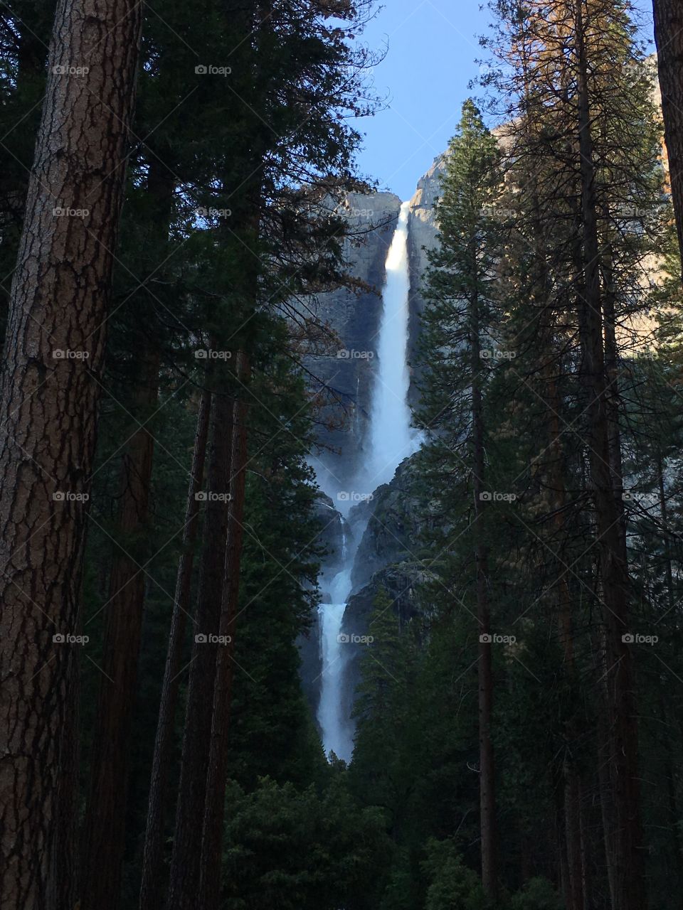 Upper and Lower falls in Yosemite National Park