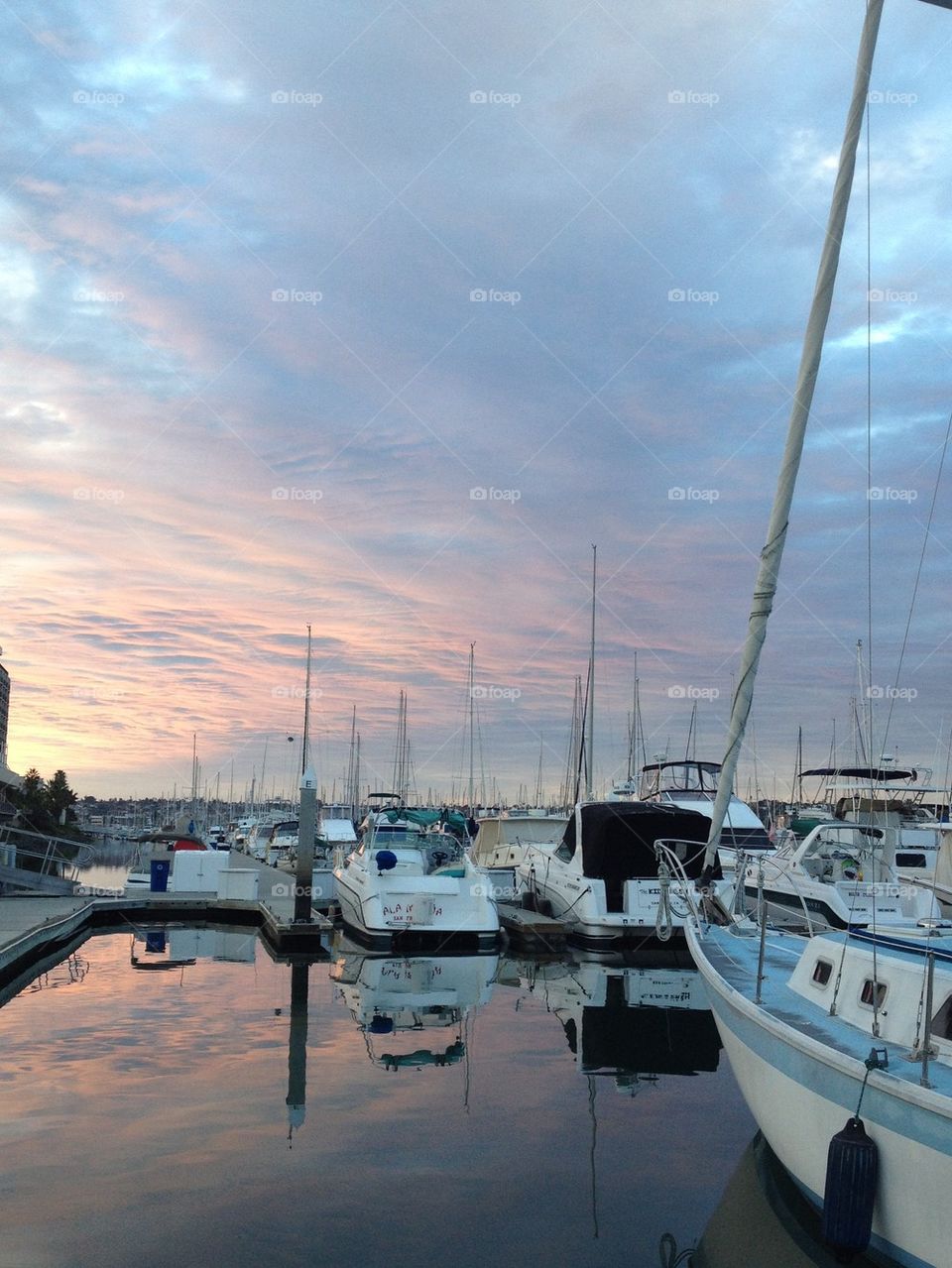 Marina at sunset