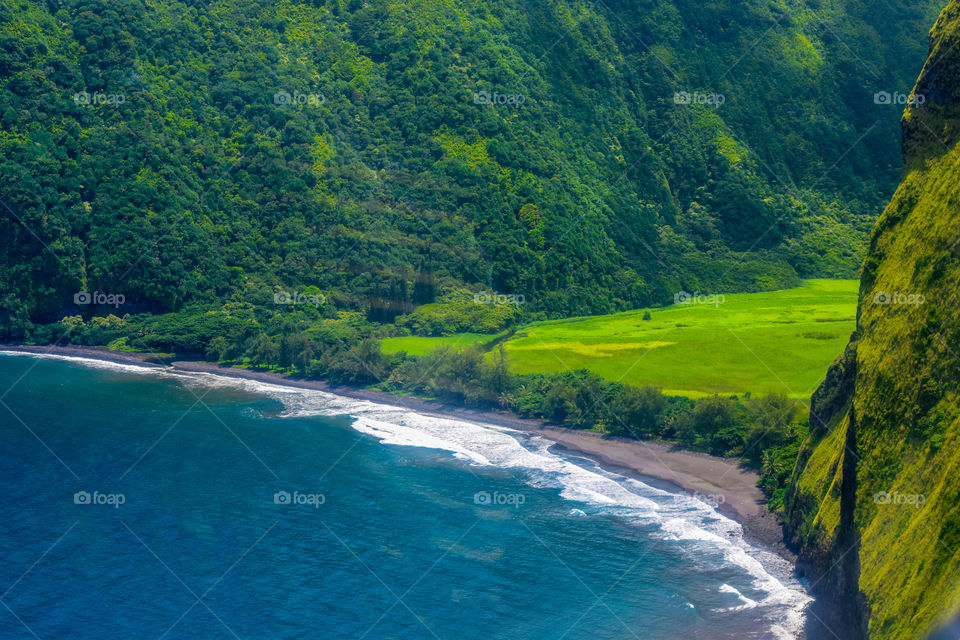 Hamakua coast- aerial view from helicopter