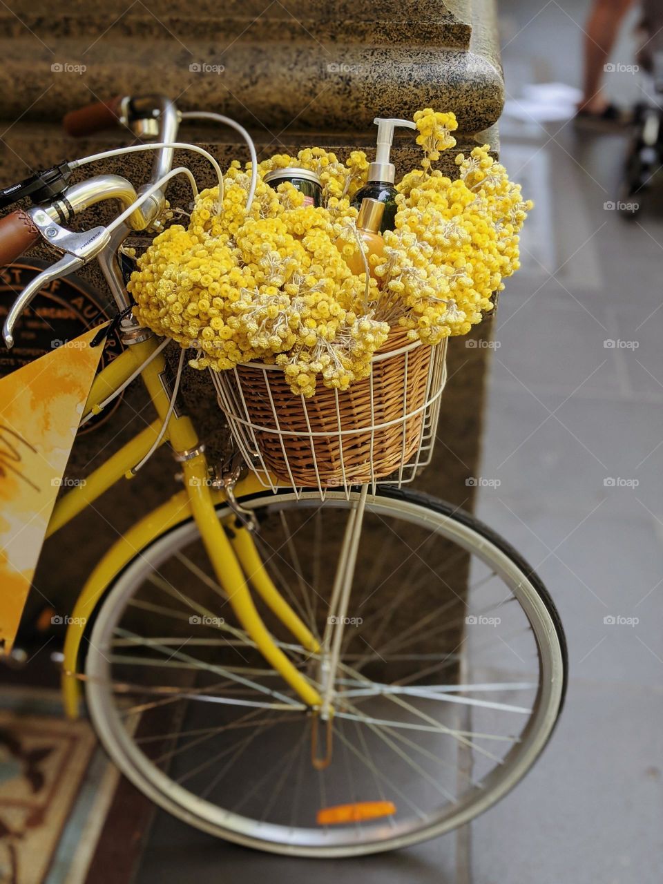 Flowers and bike