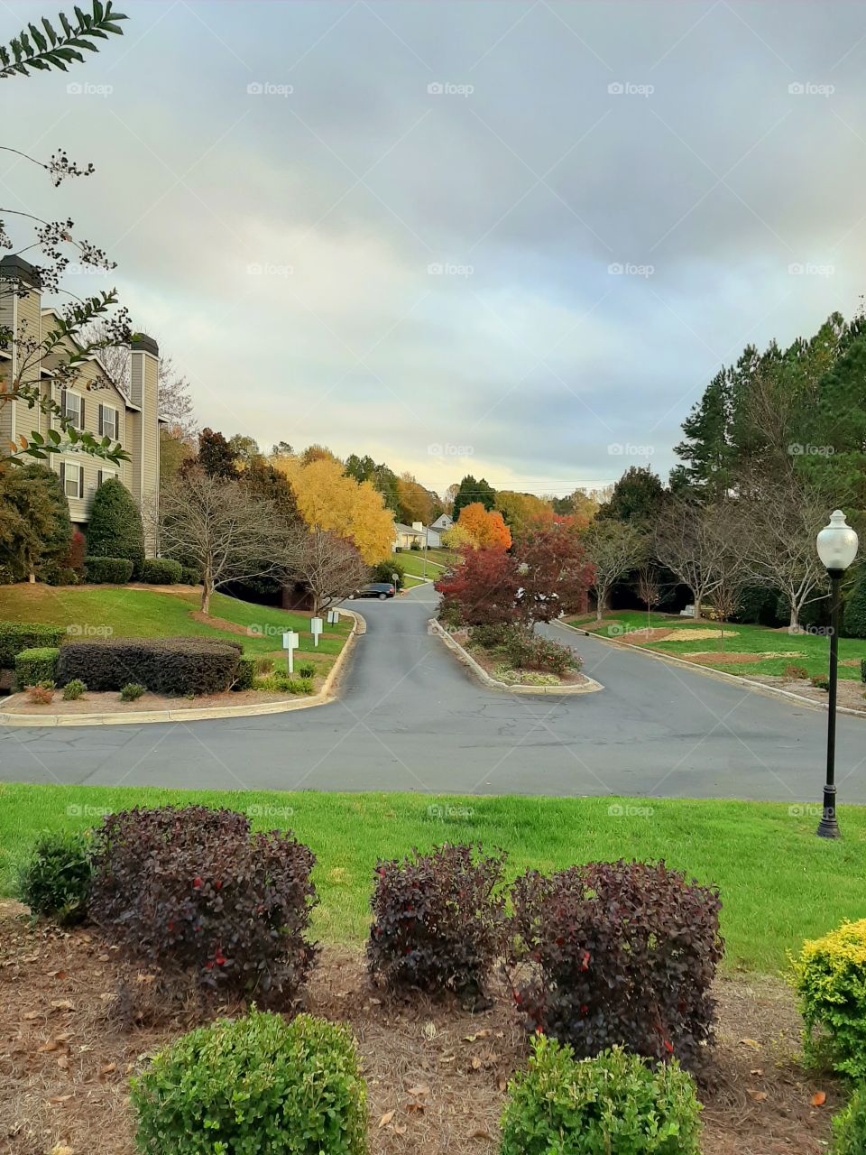 Autumn in Charlotte