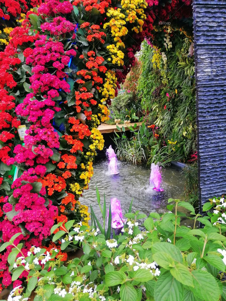 This photo taken during a flower show. There are lots of different kinds and colorful flowers.