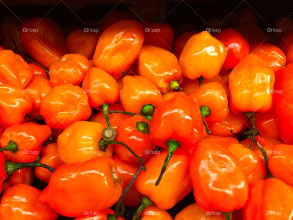 Peppers