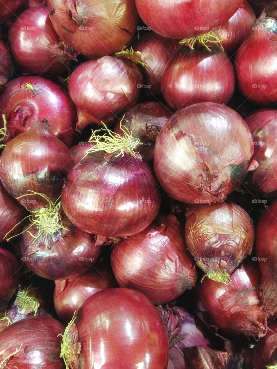 onions