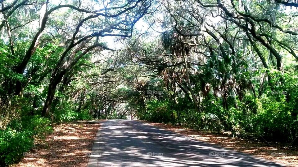 This area of the local park is one of my favorites.