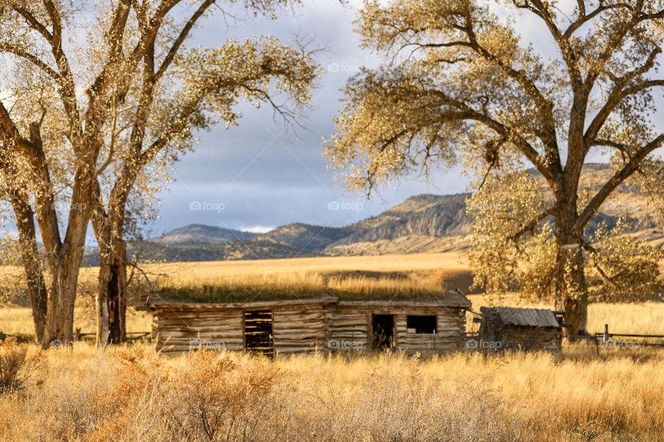 Super spooky yet beautiful abandoned building in the fall. Makes you wonder who lived there. 