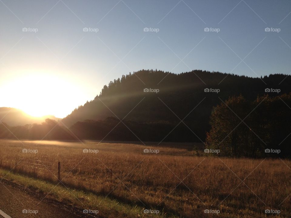 Scenic view of nature