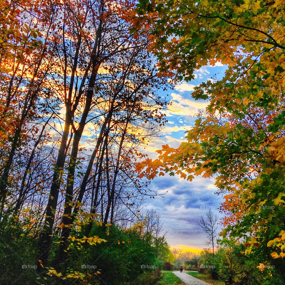 Cloudy morning. Crispy air. 