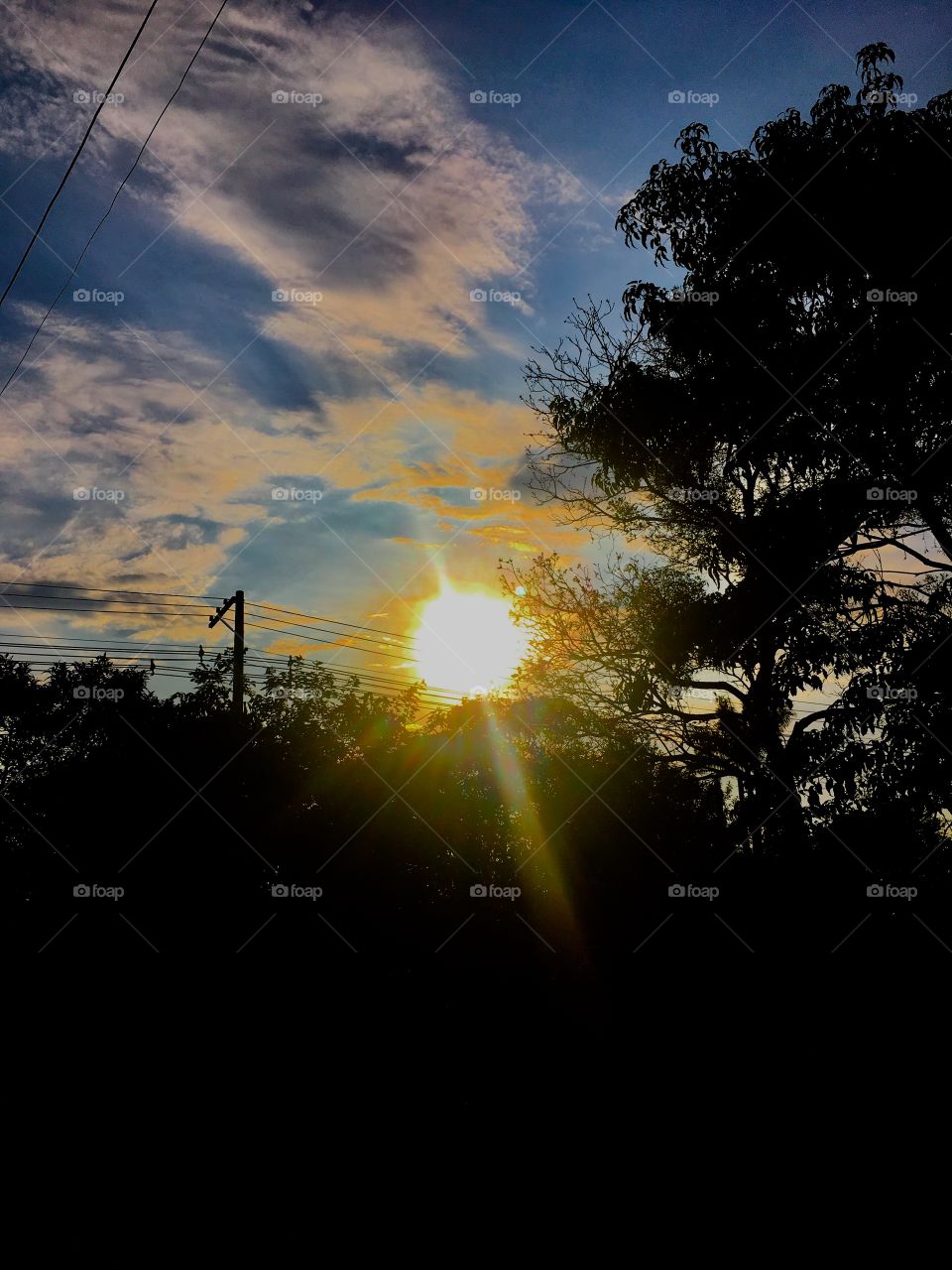 ☀️ E o sol enfim raiou! Sem filtros, a alvorada de #nuvens e beleza.
🌳
#natureza
#amanhecer
#fotografia
#paisagem
#nofilter
#inspiração
#mobgrafia