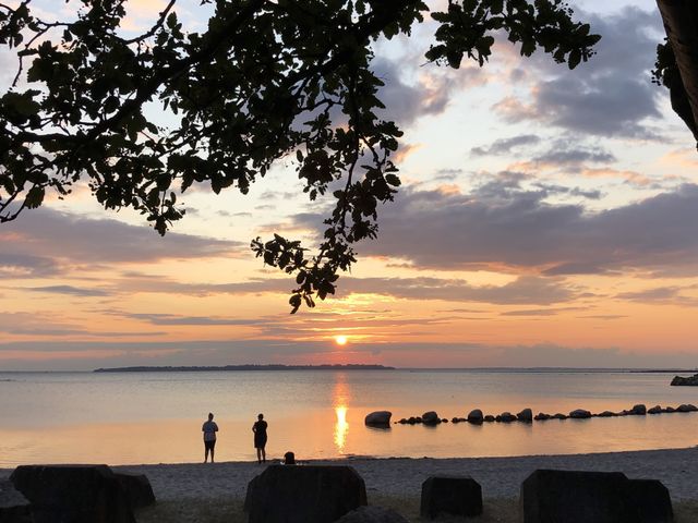 Magical evening