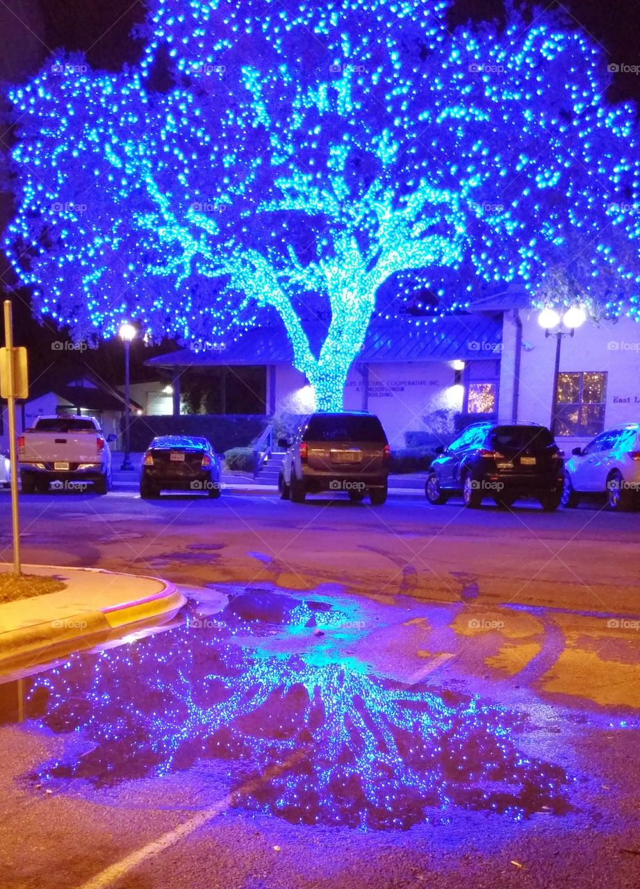 Christmas lights in Johnson City Texas reflected in water