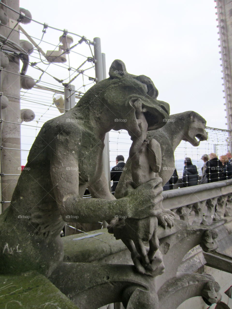 Gargoyles