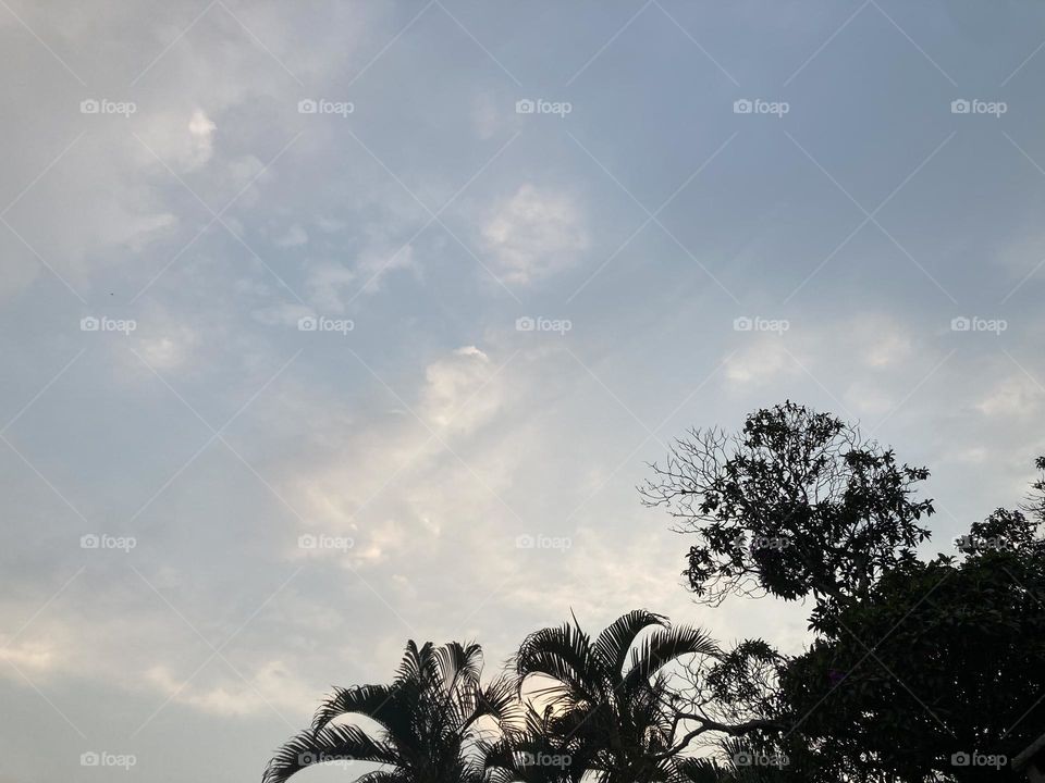 🌄🇺🇸 An extremely beautiful dawn in Jundiaí, interior of Brazil. Cheer the nature! / 🇧🇷 Um amanhecer extremamente bonito em Jundiaí, interior do Brasil. Viva a natureza! 
