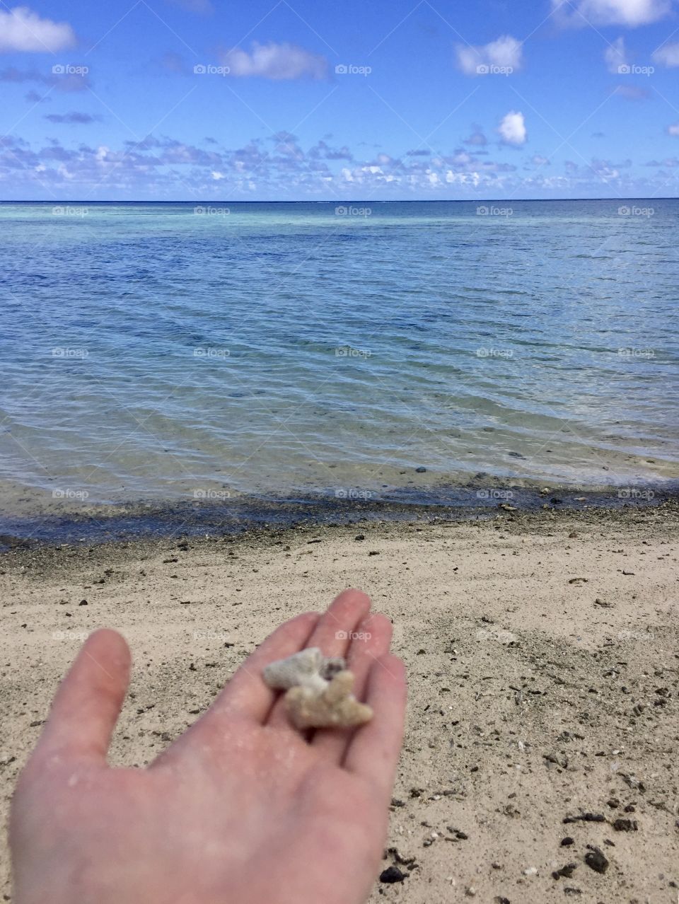 Girl holding coral in her hand over the sandy beach with the ocean in the background 