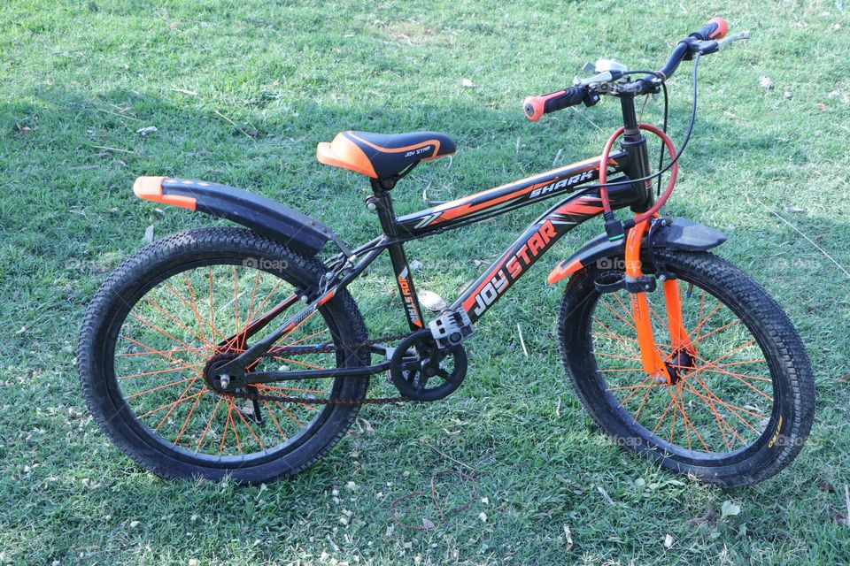 my buddy always with me