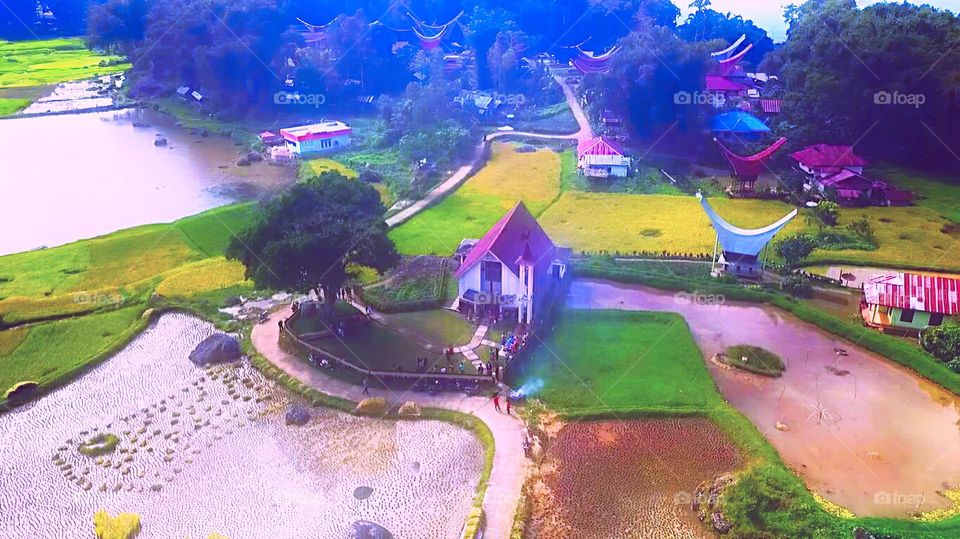 Church in the middle of the wet rice fields-Tana Toraja, south Sulawesi-Indonesia