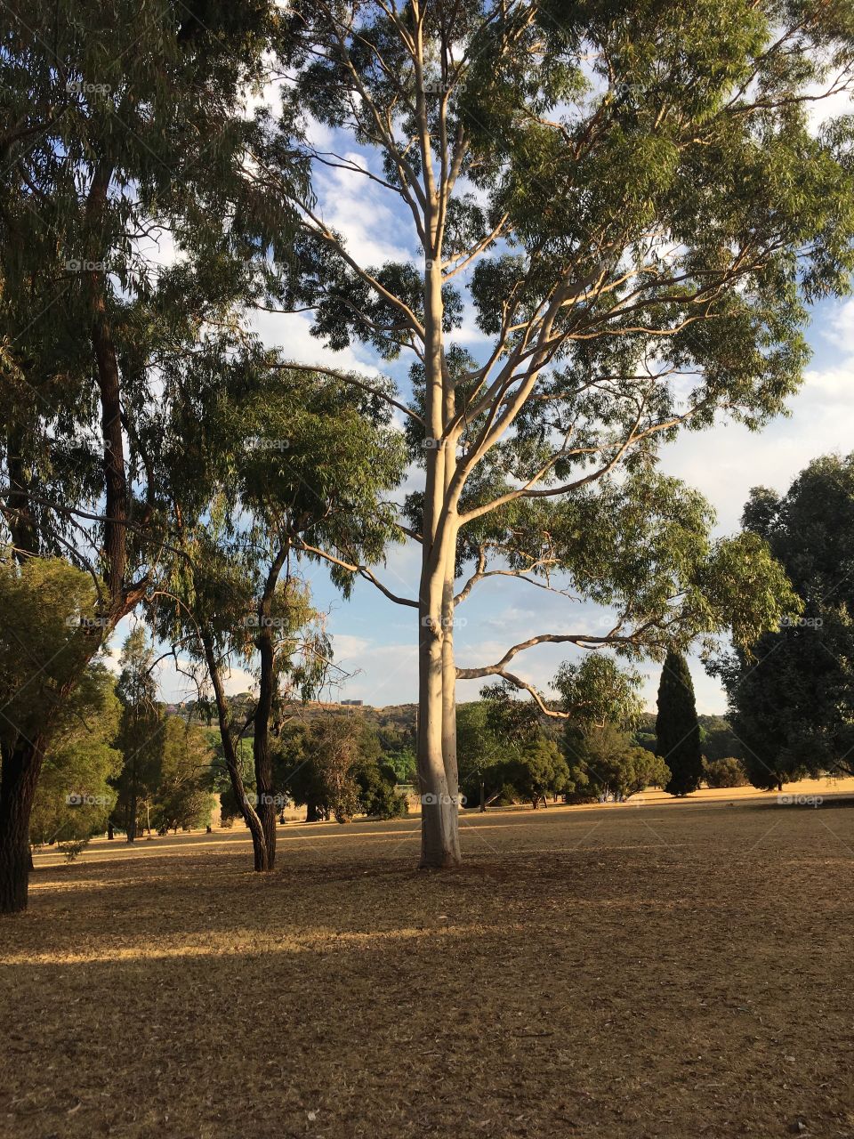 Jhb botanical gardens