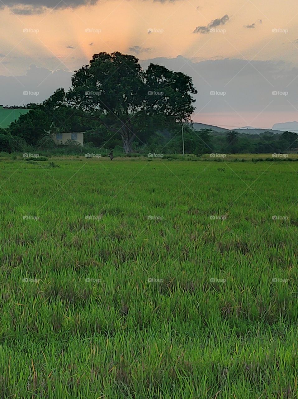 wonderful location in the world which never see in other countries. it is only in India