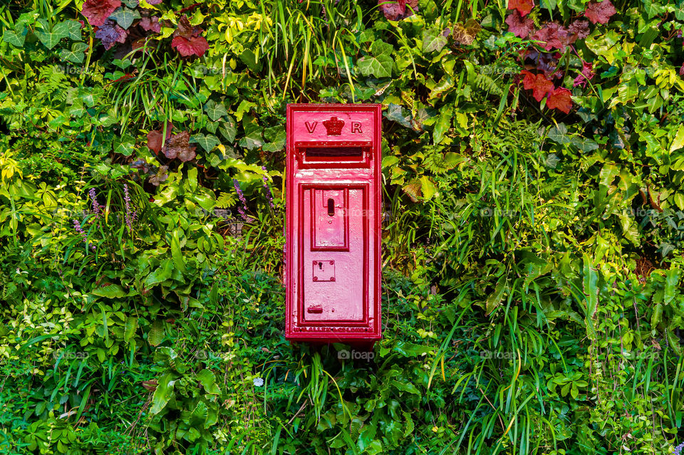 Red postbox on leafy background.