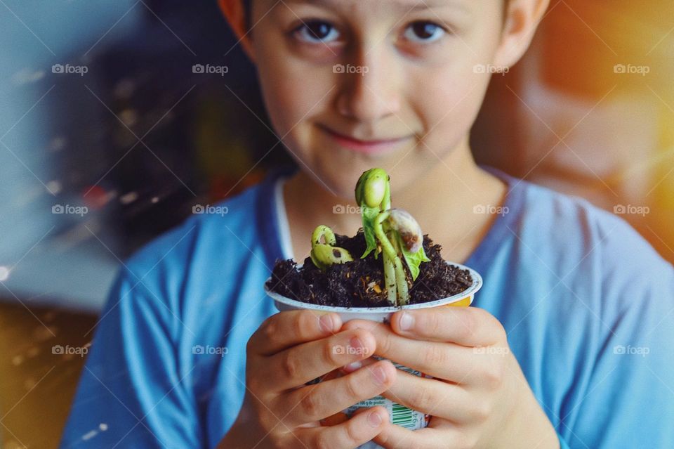 Young kid holding a plastic cup with bean sprouts as part of a school environmental protection project 