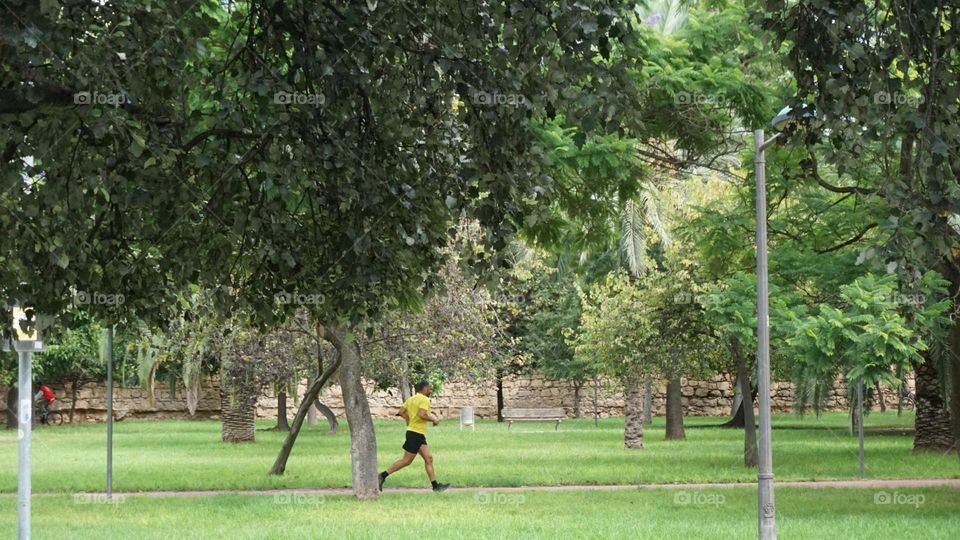 Nature#trees#human#run