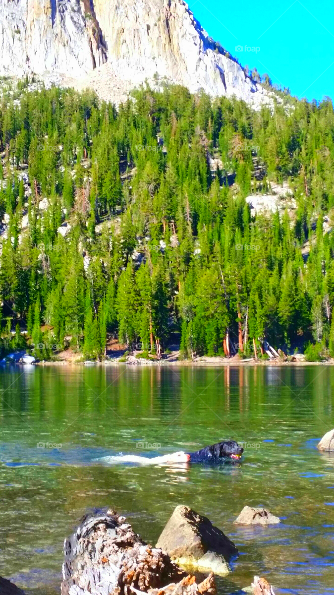 "Lake Tahoe"