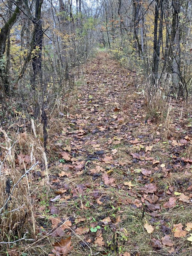 The trail to the unknown 