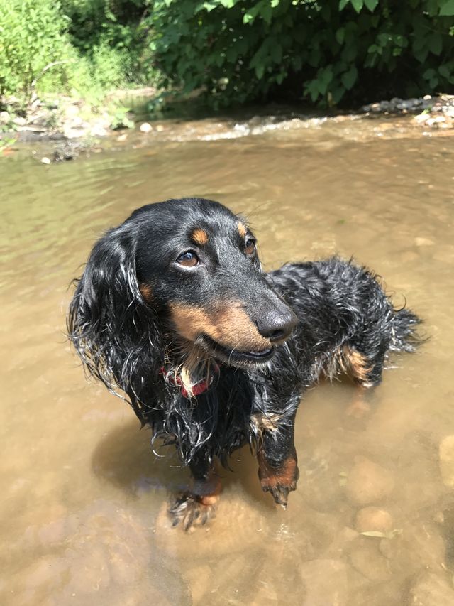 Fun in the river 