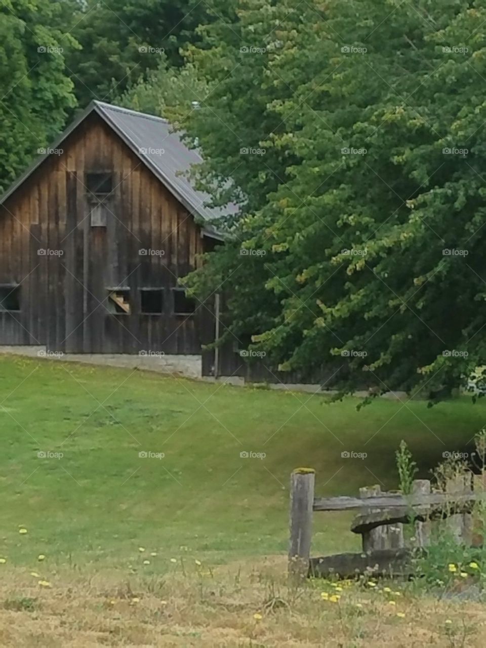 beautiful old barn