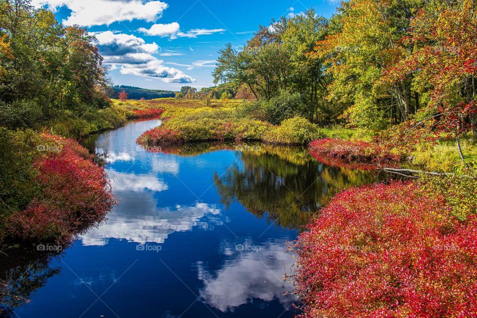 Reflected Autumn sky a still stream.