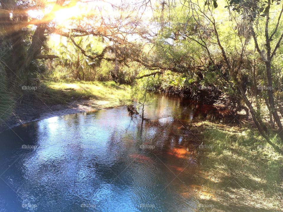 Florida River
