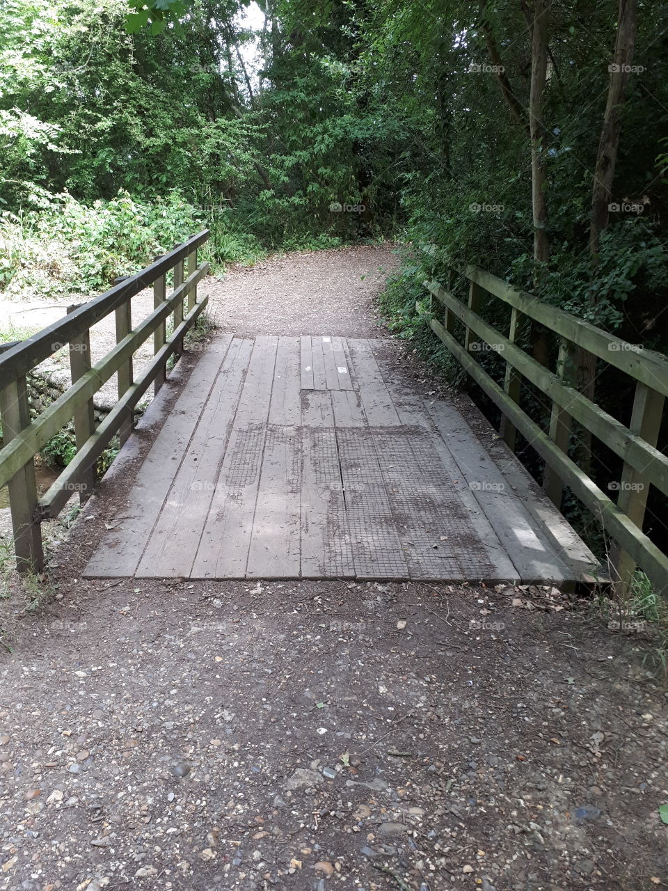 Wooden Bridge