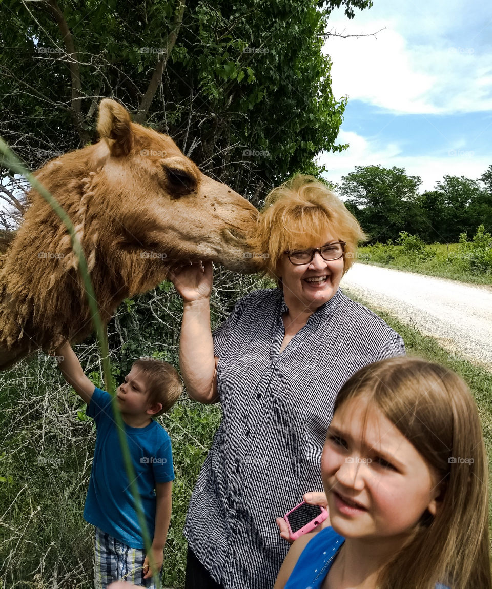 family fun with the camels