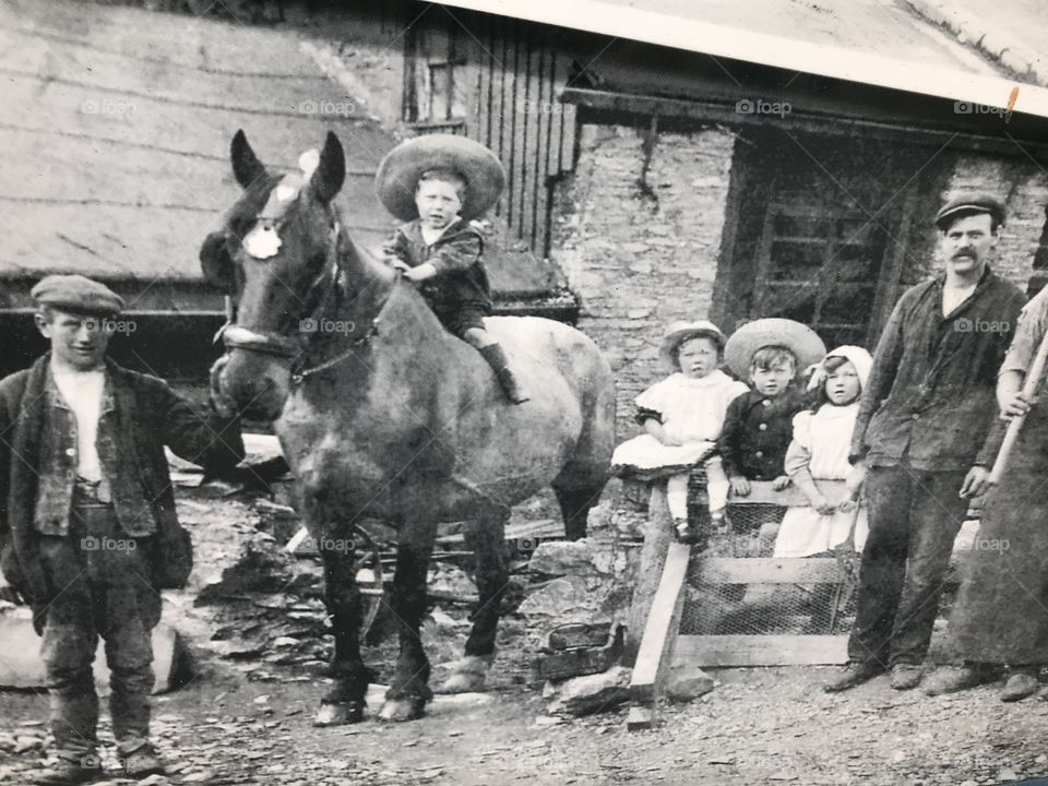 The gentle life of yesteryear 