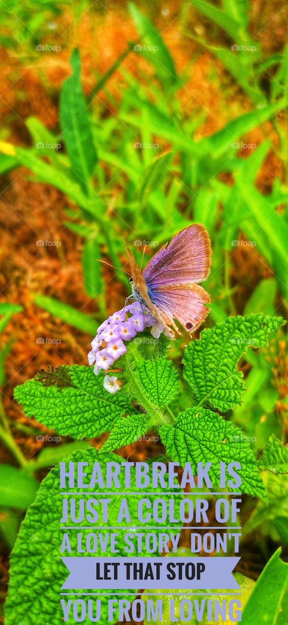 Heartbreak is just a color of a love story. Don't let that stop you from loving