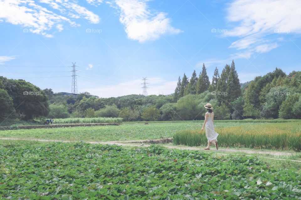 漫步在田野上