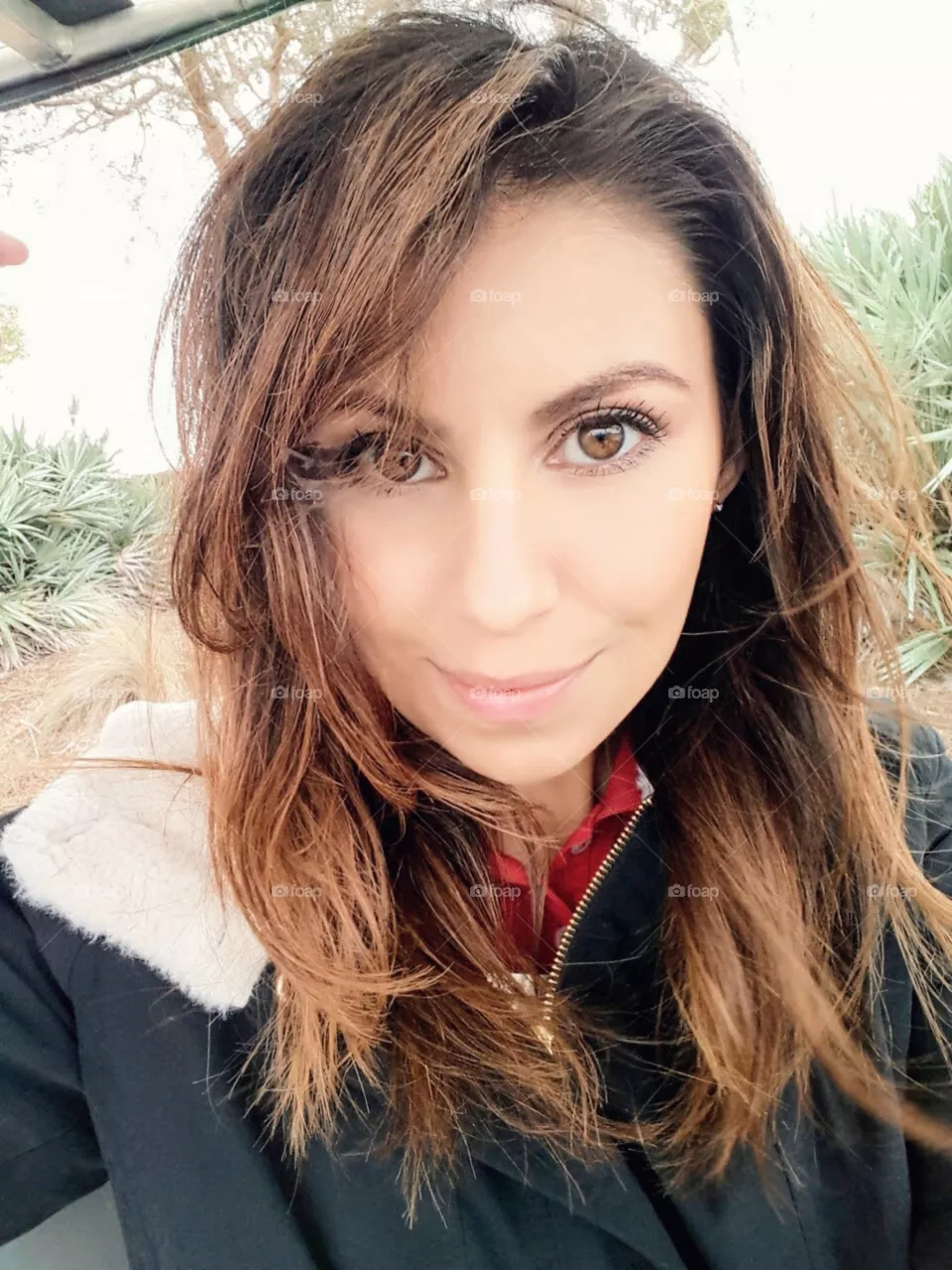 Windy 