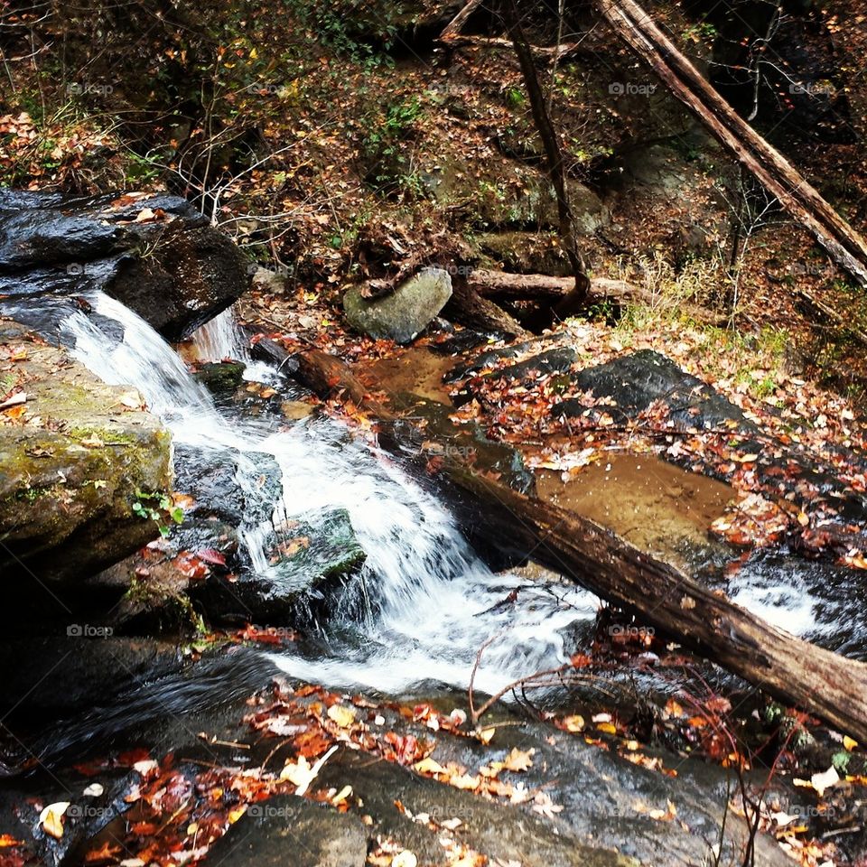 Lower Isaqueena Falls