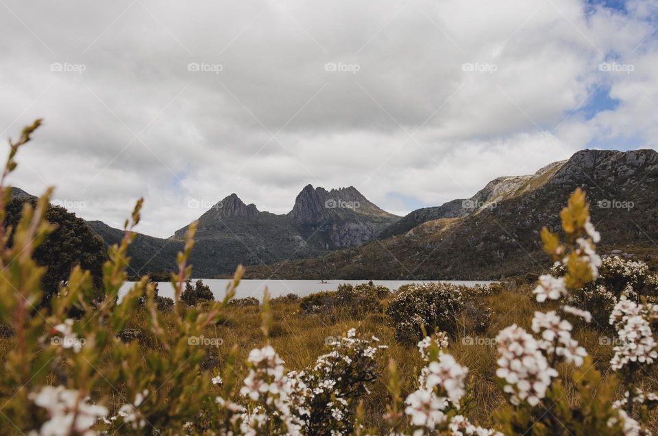 Cradle Mountain in Tasmania 