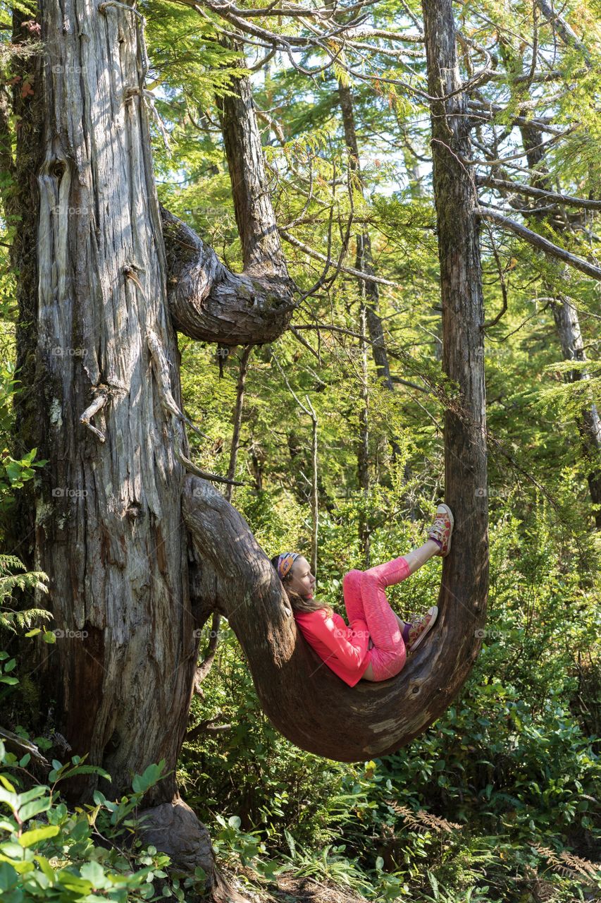 Girl sitting on a huge curved tree branch in the middle of the rainforest 