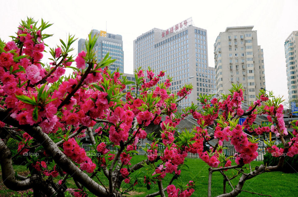Chinese street in beijing