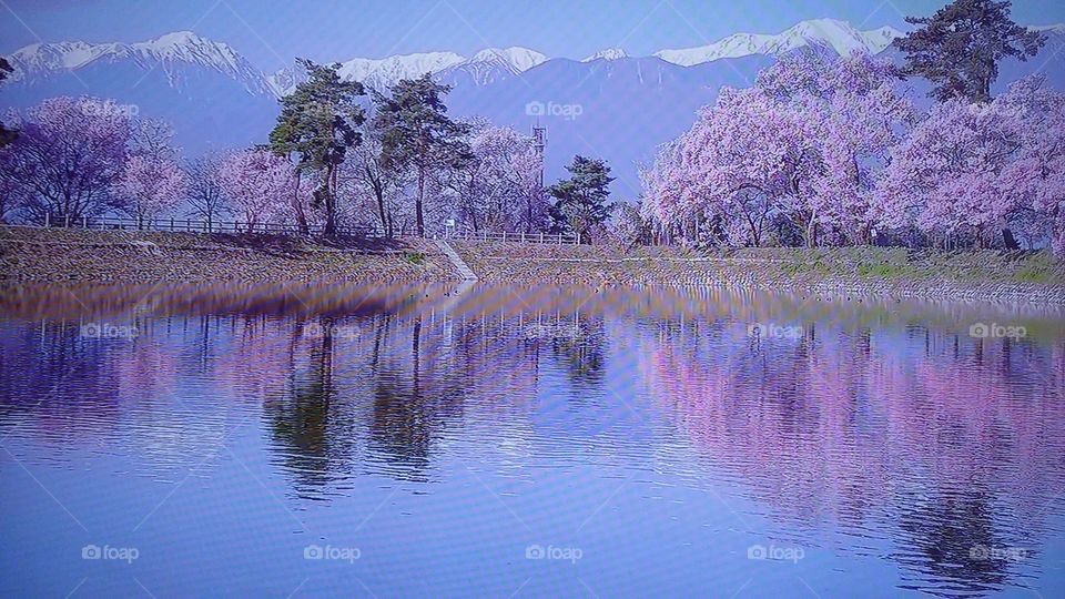 Water, Lake, Landscape, Nature, Tree