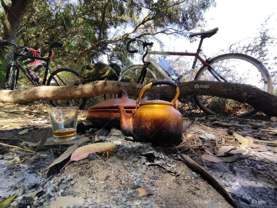 picnic and biking