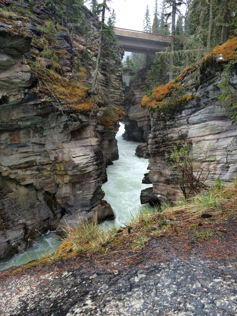 Athabasca Falls
