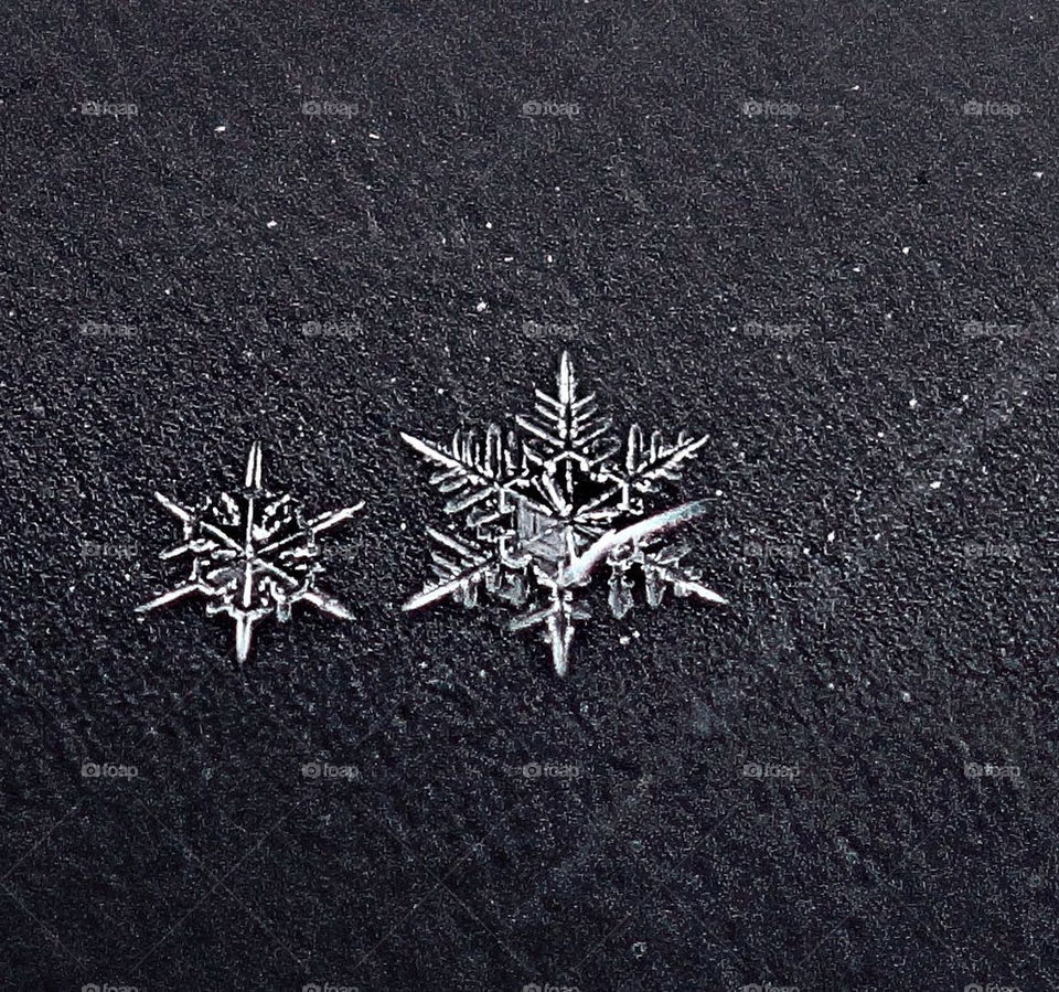 snow flake