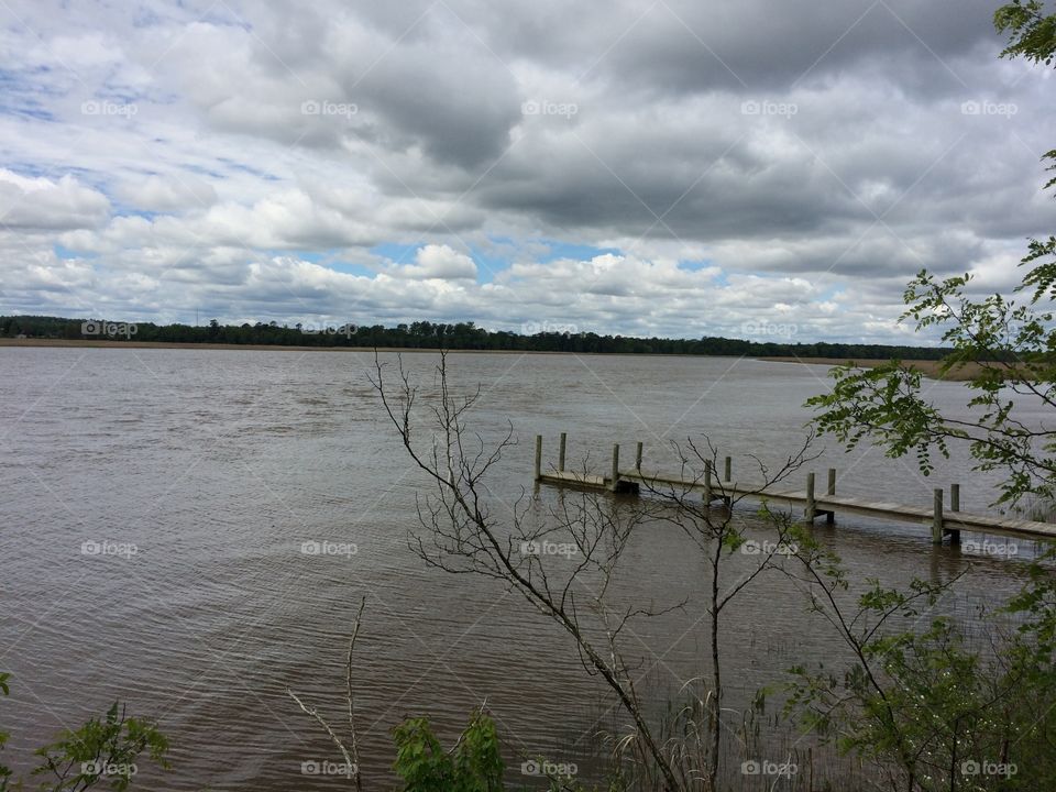 Water, Landscape, Lake, Tree, River