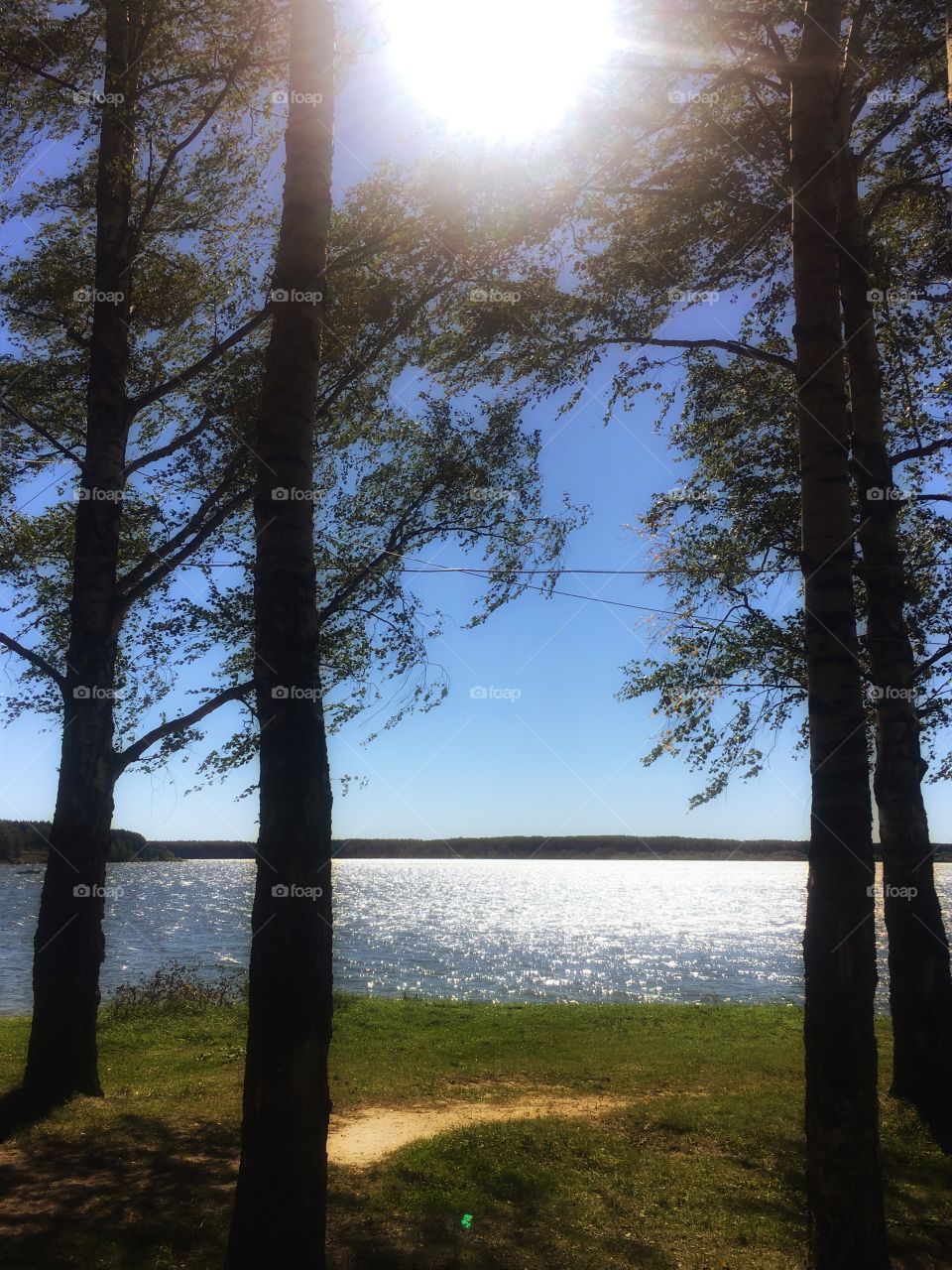 Lake landscape 