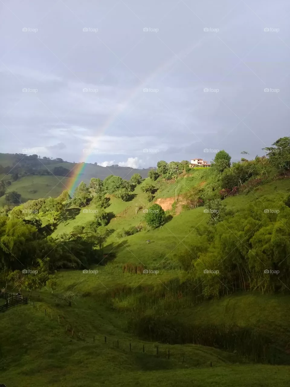 Paisaje