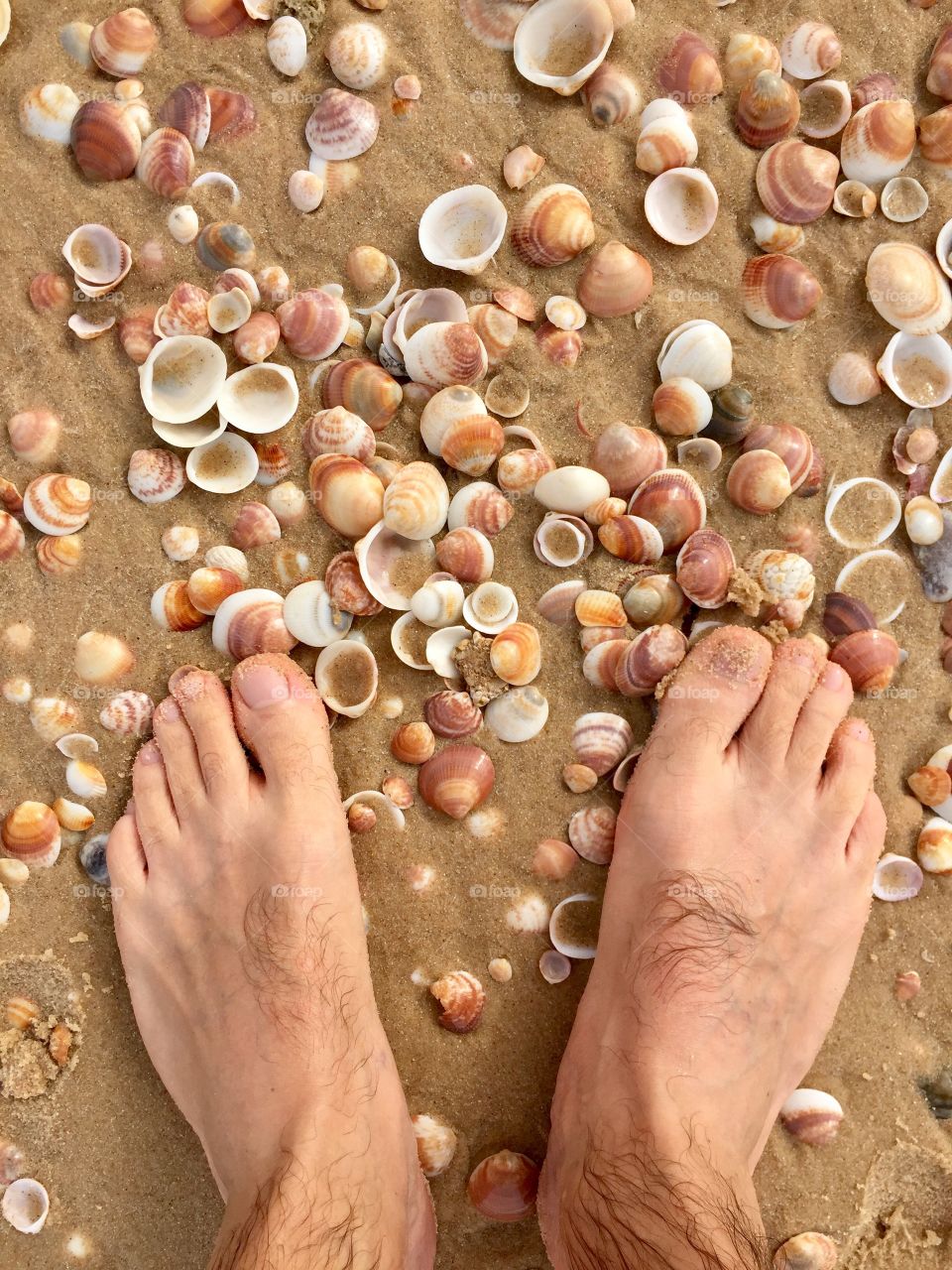 Standing on the beach 