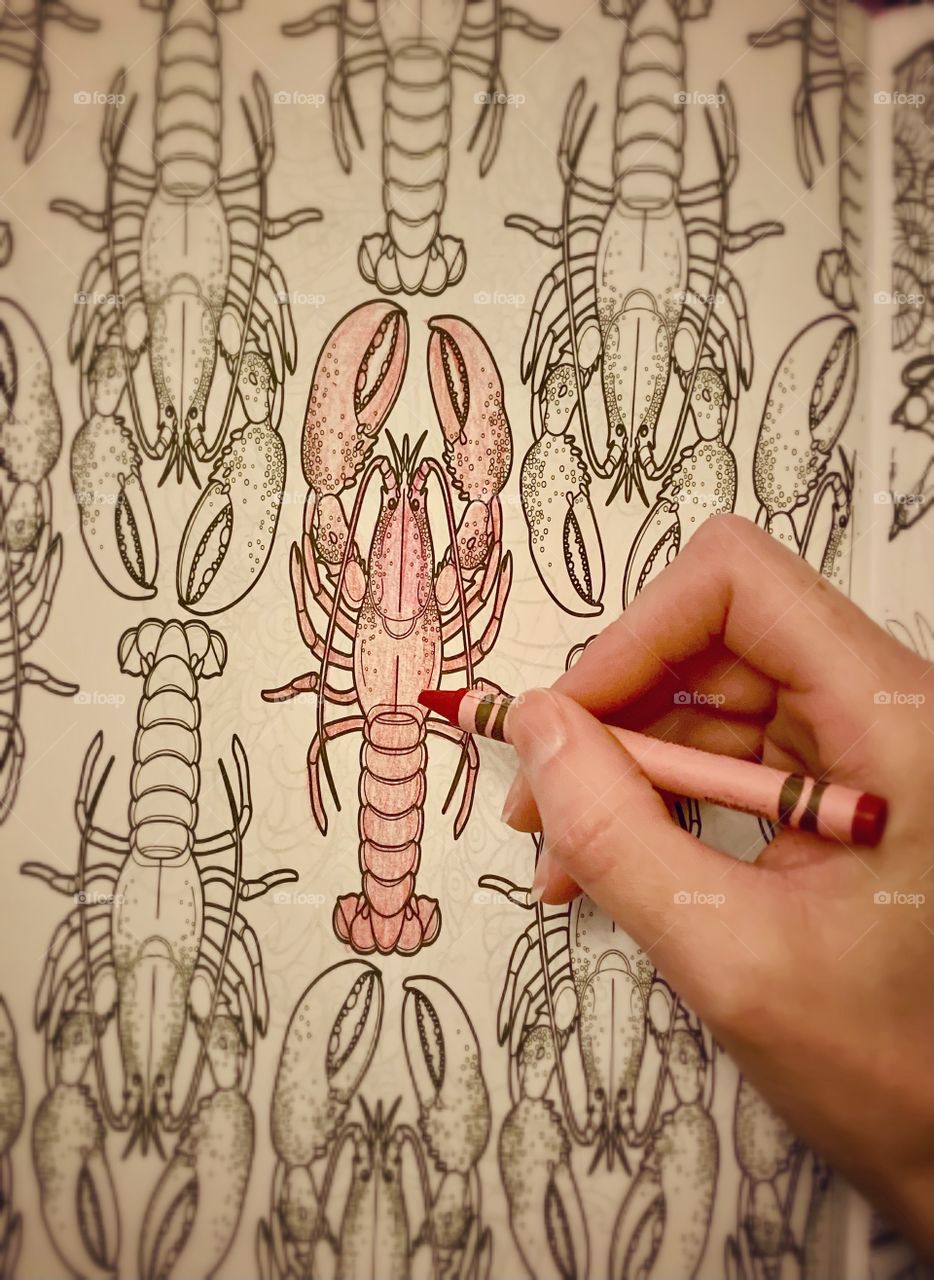 Bold red lobster- art work coloring 